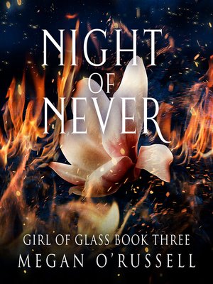 cover image of Night of Never